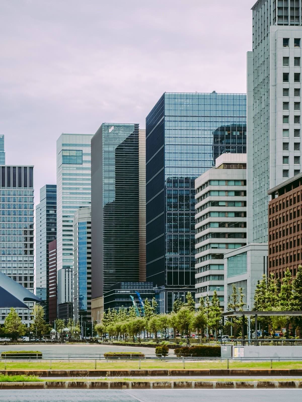 Glass office towers above a line of street trees, seen from across an open plaza.